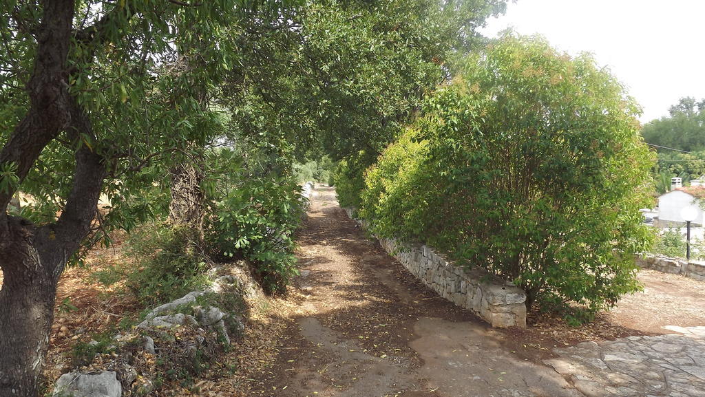 Villa Apollonia B&B モノーポリ エクステリア 写真